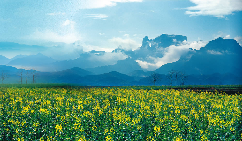 Tianmen Mountain Ticketing & Entry: How to Buy and Enter - Tianmen Mountain National Forest Park